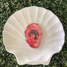 Load image into Gallery viewer, Be Muggle Coasters