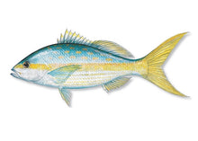 Load image into Gallery viewer, Colirubia Inspired Dominoes