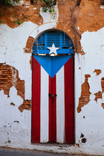 Cargar imagen en el visor de la galería, PR Door Inspired Dominoes