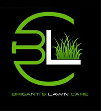 Load image into Gallery viewer, Briganti’s Black Dominoes