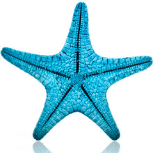 Lade das Bild in den Galerie-Viewer, Starfish Dominoes