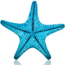 Load image into Gallery viewer, Starfish Dominoes
