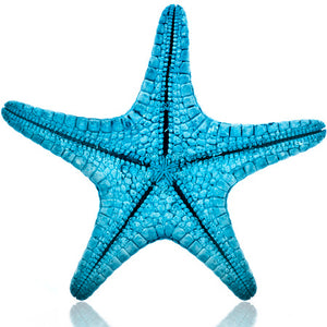 Starfish Dominoes