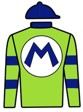 Cargar imagen en el visor de la galería, Blue/Green Mangual Racing Inspired Dominoes
